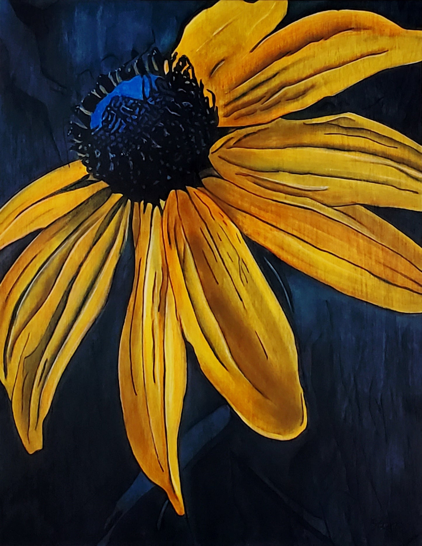 Black Eyed Susan