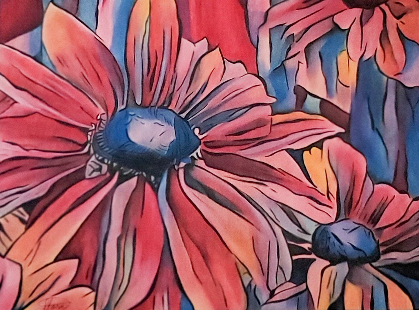 Gazanias
