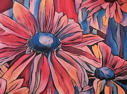 Gazanias