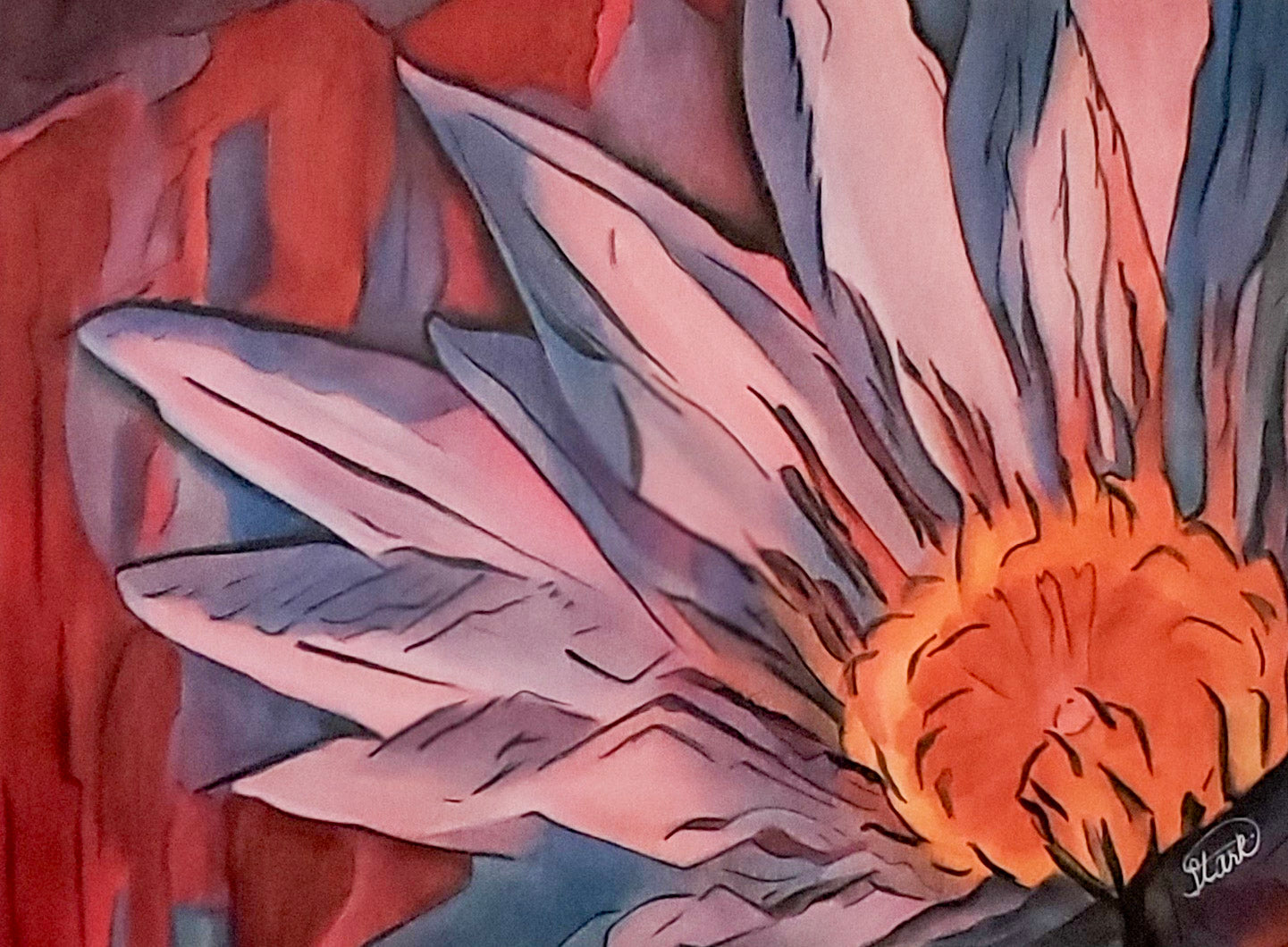 Water Lily